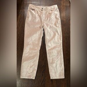 We the Free Size 31 Velvet Pants